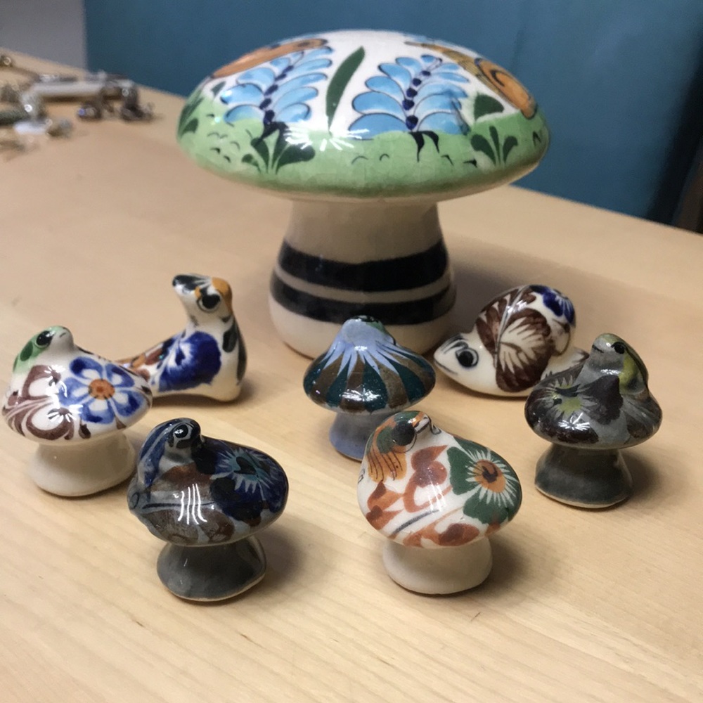 mushrooms bird from mexico